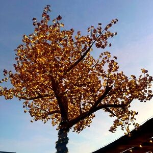 Life is beautiful… just like you are.